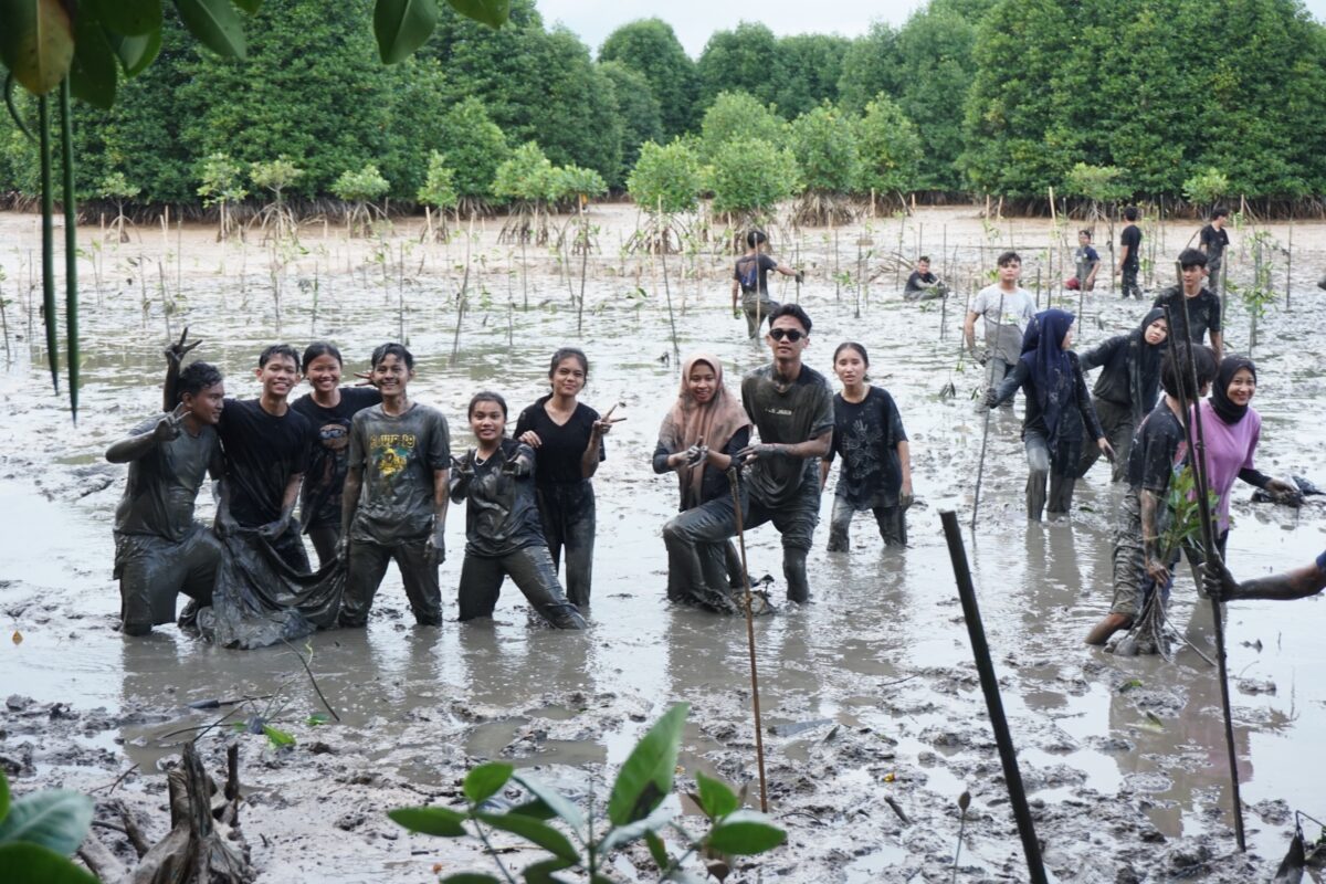 Mahasiwa Unrika tengah menanam seribu pohon mangrove, Selasa (28/11/2023). Foto: Indra-matapedia6