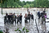 Mahasiwa Unrika tengah menanam seribu pohon mangrove, Selasa (28/11/2023). Foto: Indra-matapedia6