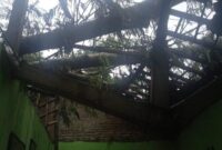 Pohon tumbang menimla salah satu rumah warga di daerah Purworejo.
Matapedia6.com/ nett