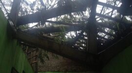 Pohon tumbang menimla salah satu rumah warga di daerah Purworejo.
Matapedia6.com/ nett