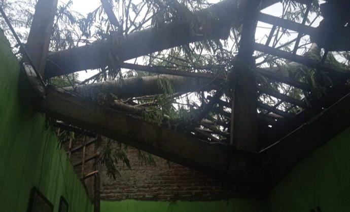 Pohon tumbang menimla salah satu rumah warga di daerah Purworejo.
Matapedia6.com/ nett