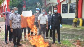 Ditresnarkoba Polda Kepri musnahkan 2,1 kilogram ganja kering hasil pengungkapan kasus pada 24 Desember 2023 lalu, Jumat (5/1/2024)
Matapedia6.com/Dok Humas Pold