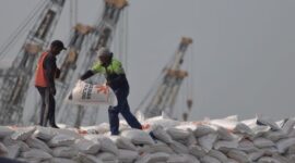 Beras impor sisa pada 2023 bakal masuk ke Indonesia pada Februari, sebelum musim panen raya.
Matapedia6.com/ neet