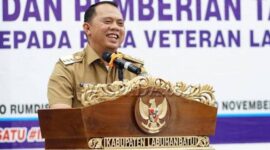 Bupati Labuhan Batu Erik Adtrada Ritonga