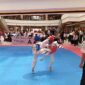 Peserta Taekwondo Turnamen bertanding, Sabtu (13/1/2024). Foto:rega/matapedia6