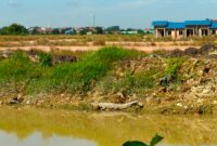 Buaya yang muncul di pinggir sungai di samping perumahan Muka Kuning Pratama Sagulung, Minggu (21/1/2024).Matapedia6.com/ Dok warga