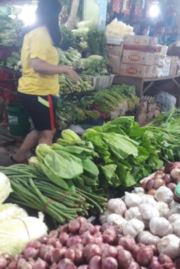 Inflasi Kepri Naik Jadi 3,92 Persen pada Mei 2026, Harga Cabai dan Sayuran Jadi Pemicu Utama