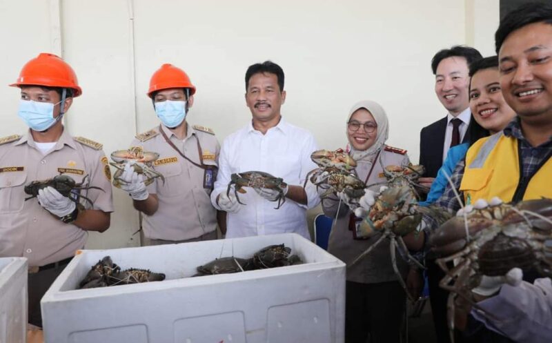 Kepala BP Batam Muhammad Rudi bersama Balai Karantina Hewan, Ikan, dan Tumbuhan Kepulauan Riau (Kepri) bersama  melepas ekspor perdana kepiting bakau hidup (scylla serrata) ke Shanghai Cina, melalui Bandara Internasional Batam, Rabu (31/1/2024). Matapedia6.com/ Diskominfo Batam