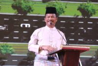 Kepala BP Batam sekaligus Wali Kota Batam Muhammad Rudi. Foto:Dok/Humas BP Batam
