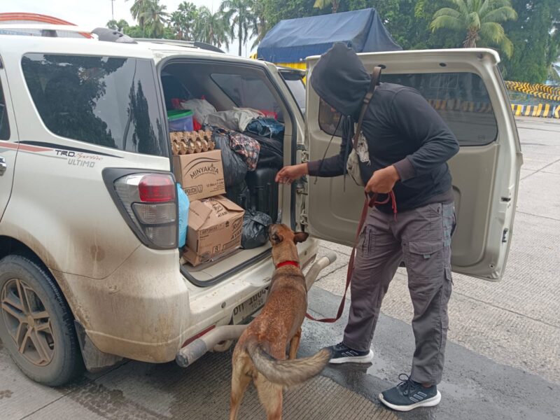 Anjing pelacak atau tim K-9 yang dikerahkan Direktorat Tindak Pidana Narkoba Bareskrim Polri, saat melakukan pemeriksaan barang bawaan penumpang di pelabuhan Bakauheni. Matapedia6.com/Dok Humas Mabes Polri