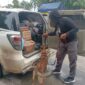 Anjing pelacak atau tim K-9 yang dikerahkan Direktorat Tindak Pidana Narkoba Bareskrim Polri, saat melakukan pemeriksaan barang bawaan penumpang di pelabuhan Bakauheni. Matapedia6.com/Dok Humas Mabes Polri