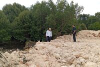 Komisi III DPRD Kota Batam sidak penimbunan lahan mangrove di wilayah Sagulung, dalam waktu dekat akan panggil pemilik lahan, Kamis (21/3/2024). Matapedia6.com/ Luci