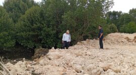 Komisi III DPRD Kota Batam sidak penimbunan lahan mangrove di wilayah Sagulung, dalam waktu dekat akan panggil pemilik lahan, Kamis (21/3/2024). Matapedia6.com/ Luci