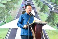 Kepala BP Batam sekaligus Wali Kota Batam Muhammad Rudi. Foto:Istimewa