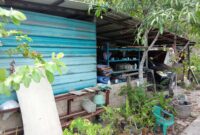 Bangunan warga yang ada di lahan kosong di perumahan Parisa Indah, Kelurahan Sei Langkai Kecamatan Sagulung. Matapedia6.com/ Istimewa