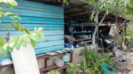 Bangunan warga yang ada di lahan kosong di perumahan Parisa Indah, Kelurahan Sei Langkai Kecamatan Sagulung. Matapedia6.com/ Istimewa