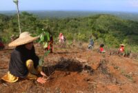 Reboisasi 33.800 Bibit Pohon. Foto:Telkom