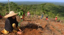 Reboisasi 33.800 Bibit Pohon. Foto:Telkom