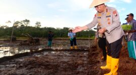 Kapolda Kepri Irjen Pol Yan Fitri Halimansyah menyemai padi saat kunjungan kerja ke Kabupaten Lingga beberapa waktu lalu. Matapedia6.com/ Dok Humas Polda