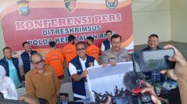 Polisi menunjukkan 52 ekor anak buaya Muara dalam jumpa pers di Polda Kepri, Kamis (30/5/2024). Foto:Zal/matapedia6