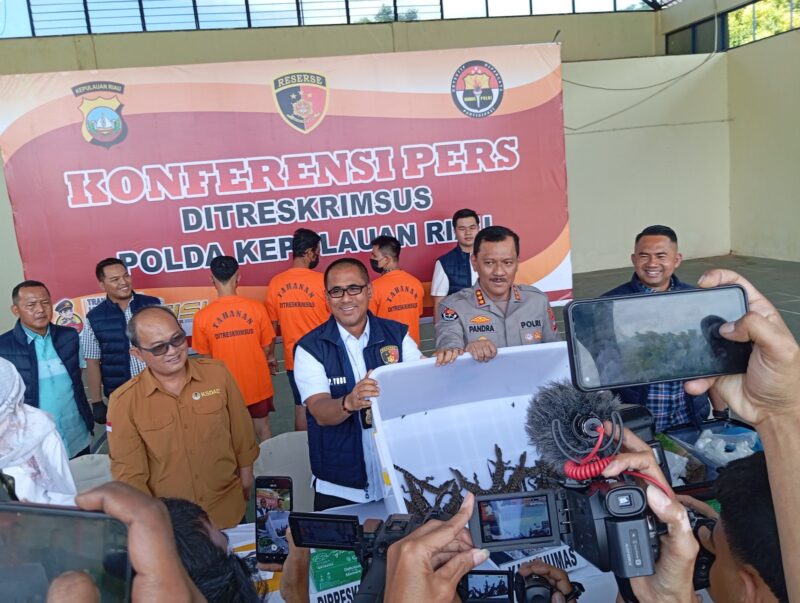 Polisi menunjukkan 52 ekor anak buaya Muara dalam jumpa pers di Polda Kepri, Kamis (30/5/2024). Foto:Zal/matapedia6