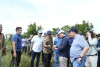 Peninjauan rumah warga di Rempang, Minggu (9/6/2024). Foto:Dok/Humas BP Batam