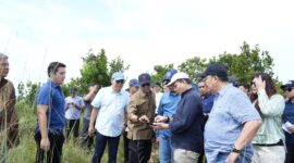 Peninjauan rumah warga di Rempang, Minggu (9/6/2024). Foto:Dok/Humas BP Batam