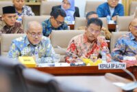 BP Batam gelar RDP dengan komisi VI DPR RI. Foto:Ist