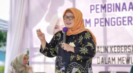 Marlin Agustina bakal calon wali Kota Batam. Foto:Ist