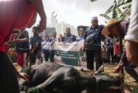 KONI Batam distribusi daging kurban kepada masyarakat. Foto:Ist