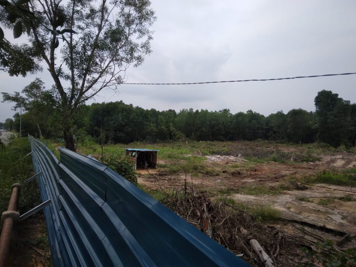 Kondisi hutan mangrove di Marina tepatnya di seberang Hotel Holiday Inn Marina yang dibabat habis, Kamis (20/6/2024). Matapedia6.con/Luci.
