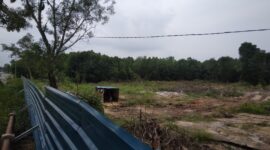Kondisi hutan mangrove di Marina tepatnya di seberang Hotel Holiday Inn Marina yang dibabat habis, Kamis (20/6/2024). Matapedia6.con/Luci.