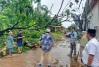 Camat Sagulung bersama warga membersihkan pohon tumbang, Jumat (21/6/2024). Foto:Ist