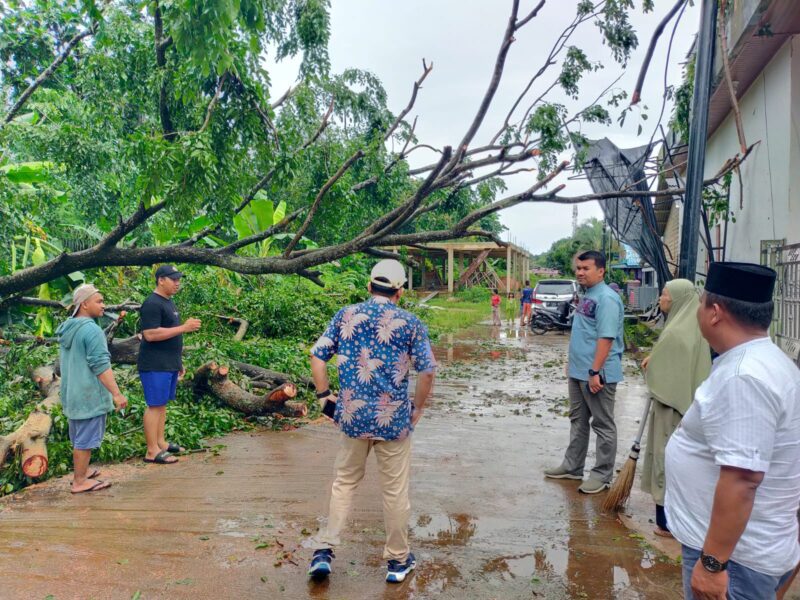 Camat Sagulung bersama warga membersihkan pohon tumbang, Jumat (21/6/2024). Foto:Ist