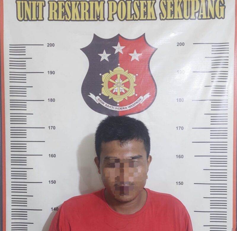 Salah satu pelaku jambret yang beraksi di Sei Temiang Kota Batam, Provinsi Kepri yang diamankan Polisi. Matapedia6.com/ Dok Polsek Sekupang.