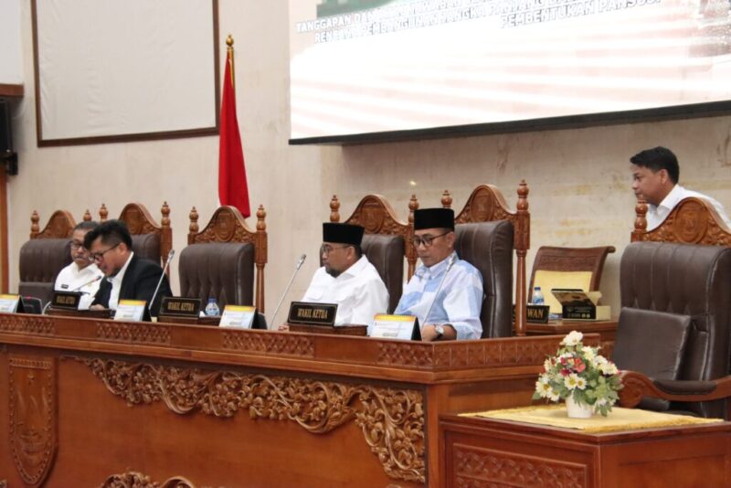 Ketua Pansus Ranperda RPJP Batam 2025-2045