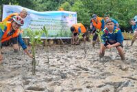PLN Batam tanam ribuan bibit mangrove di Nongsa, Minggu (11/8/2024). Foto:Dok/Humas PLN
