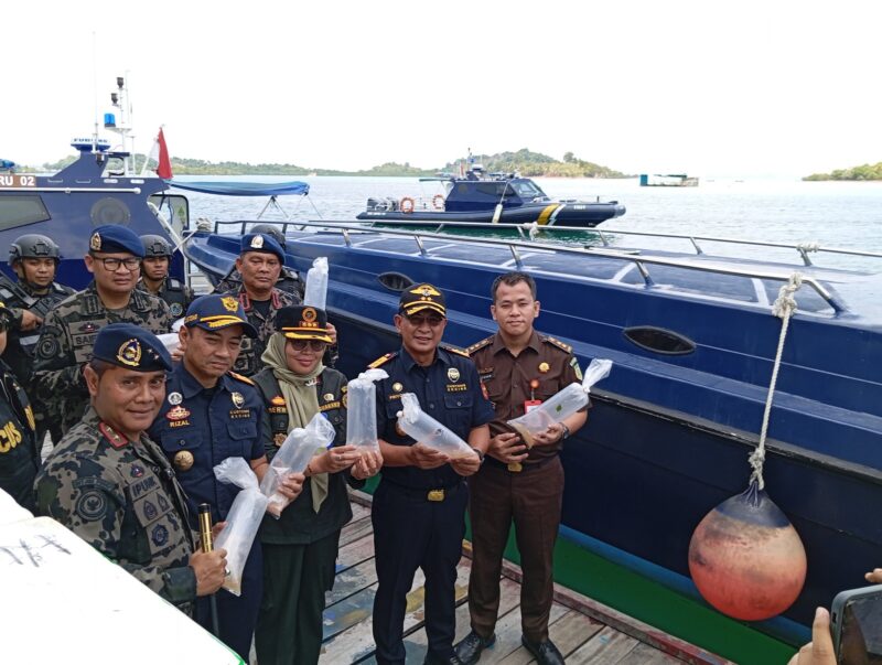 Bea cukai dan Karantina serta KKP hingga Kejaksaan menunjukkan benih Lobster saat mau dilepas di Barelang, Kamis (22/8/2024). Foto:rega/matapedia