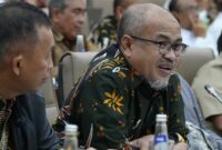 Wakil Kepala BP Batam, Purwiyanto saat RDP dengan DPR RI. Foto:Dok/Humas BP