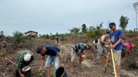 Memasuki musim penghujan warga Desa Mencolok, Kecamatan Sungai Toman, Kabupaten Tanjung Jabung Timur, Provinsi Jambi, berlomba-lomba menanam padi darat, Jumat (13/9/2024). Matapedia6.com/Dok Dalil Harahap