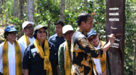 Presiden Joko Widodo melakukan peninjauan sekaligus pencanangan kawasan Wanagama Nusantara yang berada di Zona Rimba Kota B Kawasan Inti Pusat Pemerintahan (KIPP), Ibu Kota Nusantara (IKN), Jumat (13/9/2024). Matapedia6.com/Dok Setneg.go.id