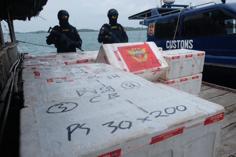 Ribuan benih lobster diamankan Bea Cukai, Selasa (3/9). Foto:Istimewa