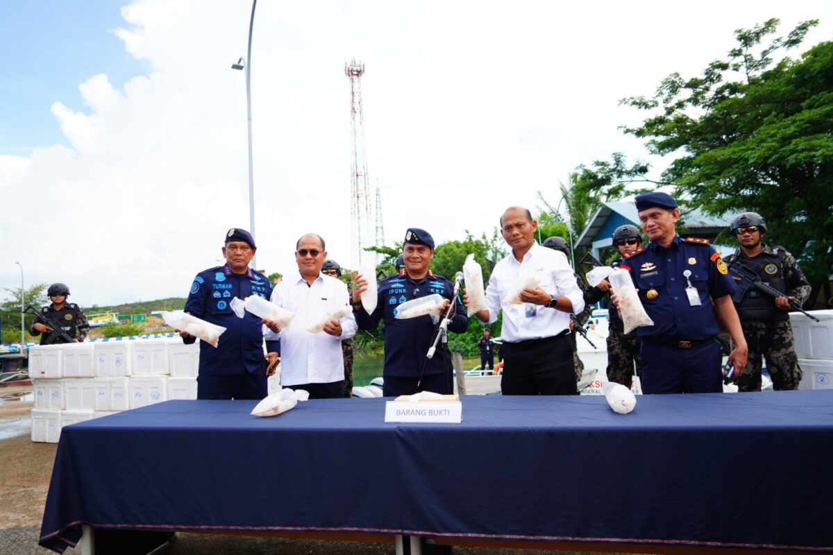 KKP saat melihatkan benih lobster, Kamis (10/10/2024). Foto:zal/matapedia