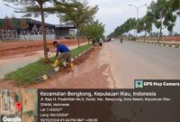 Petugas kebersihan yang dikerahkan oleh Dinas Bina Marga dan Sumber Daya Air untuk membersihkan tanah dan sampah di jalan Coastarina, Rabu (16/10/2024). Matapedia6.com/ Dok DBMSDA