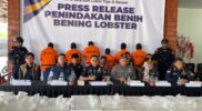 Kepala Kantor Pelayanan Utama Bea dan Cukai Tipe B Batam, Zaky Firmansyah saat memberikan keterangan mengenai penangkapan penyelundupan Benih Lobster di perairan Kepri, Minggu (13/10/2024). Matapedia6.com/ Dok. Bea Cukai.