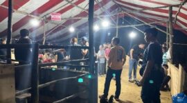 Satreskrim Polresta Barelang berhasil menggerebek arena judi sabung ayam di kawasan Ruli Rindu Malam, seberang Mega Legenda, Kecamatan Sungai Beduk, Batam, pada Sabtu (2/11/2024) malam. Matapedia6.com/ Dok Polresta Barelang