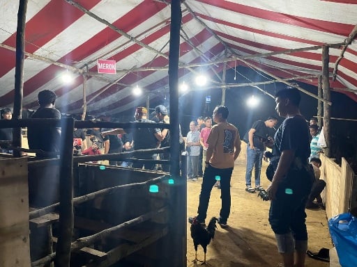 Satreskrim Polresta Barelang berhasil menggerebek arena judi sabung ayam di kawasan Ruli Rindu Malam, seberang Mega Legenda, Kecamatan Sungai Beduk, Batam, pada Sabtu (2/11/2024) malam. Matapedia6.com/ Dok Polresta Barelang