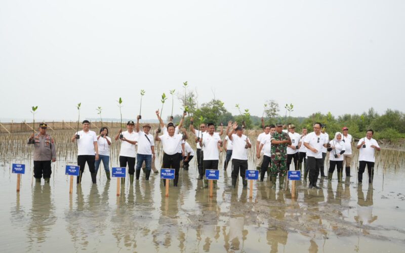 Direktur Utama Telkom Ririek Adriansyah (tengah) beserta jajaran Direksi Telkom, bersama Kepala
Desa Tambak Bulusan Ahmad Chabibullah, S.Psi., Sekretaris Camat Karangtengah Anwar Masdari, S.Pi.,
M.M., Wakil Kepala Polisi Sektor Karangtengah Ipda Rahmat Heriawan, Komandan Rayon Militer Karangtengah Capt. Infanteri Suparmin saat penanaman mangrove di Pantai Istambul Glagah Wangi, Tambak Bulusan, Demak, Jumat (15/11) Foto:Telkom