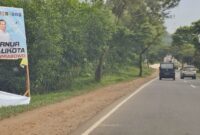 Baliho pasangan calon gubernur Kepri nomor urut satu Ansar-Nyanyang yang dirusak orang tidak dikenal disalah satu ruas jalan di Batam, Sabtu (24/11/2024). Matapedia6.com/ Dok Agus