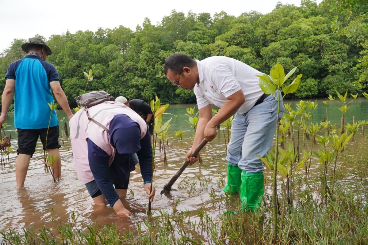 Petugas PLN Batam tanam ribuan pohon, Kamis (28/11). Foto:Humas